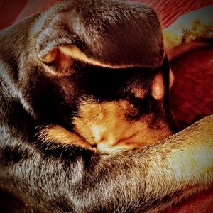 Meet your Posher, Hella